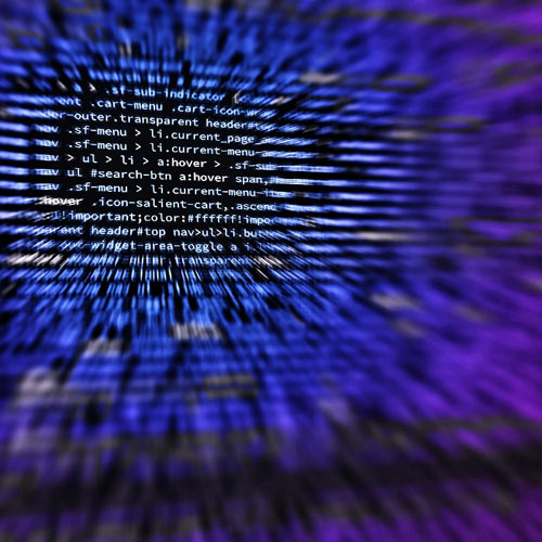 Features & Controls | Voxing.ai