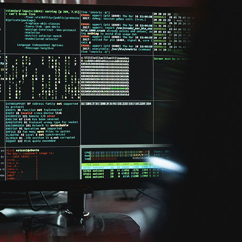 Features & Controls | Voxing.ai